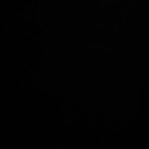 Meet your Posher, Fae